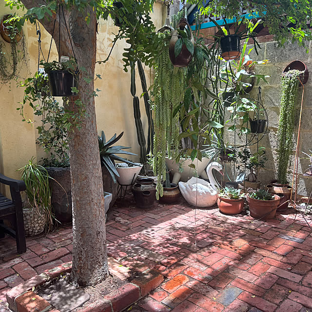 mosmanparkhomeさんの実例写真