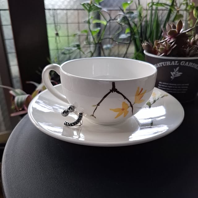 noaさんの実例写真