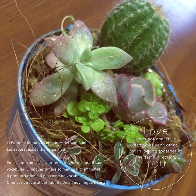 chirinさんの実例写真