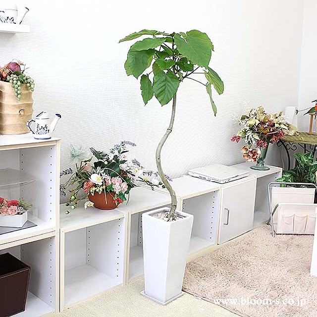 BloomingScapeさんの実例写真