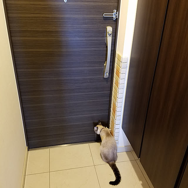 Konatuさんの実例写真