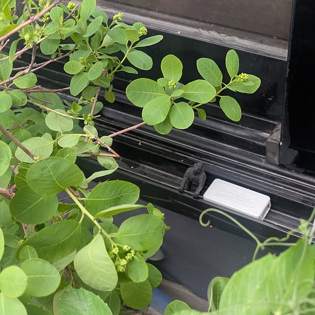 mori_6_12さんの実例写真