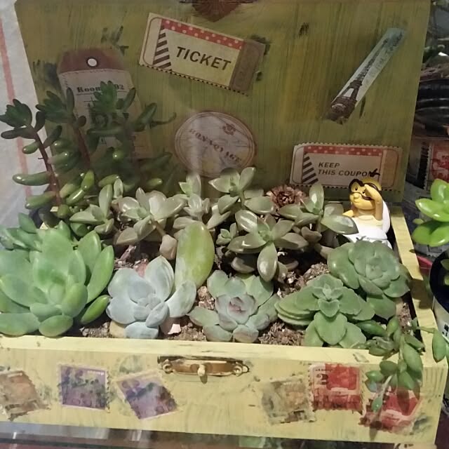 Yumiさんの実例写真