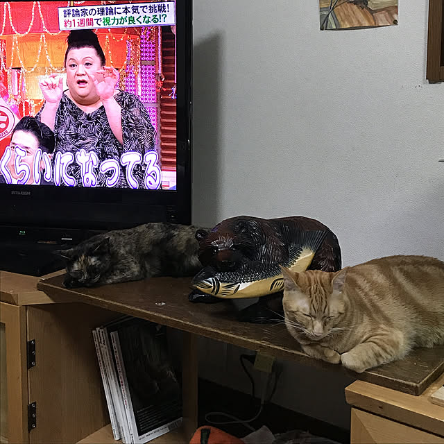 tornadeさんの実例写真