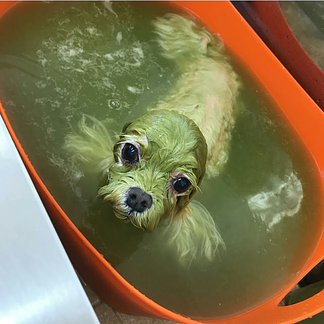 VIORAさんの実例写真