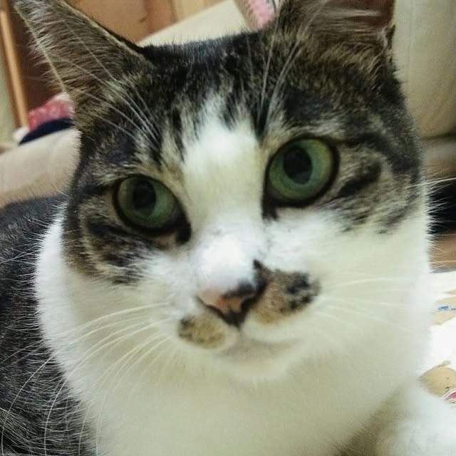 kiyohima229さんの実例写真