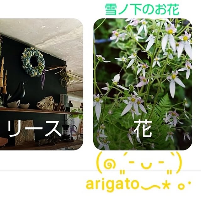 katさんの部屋