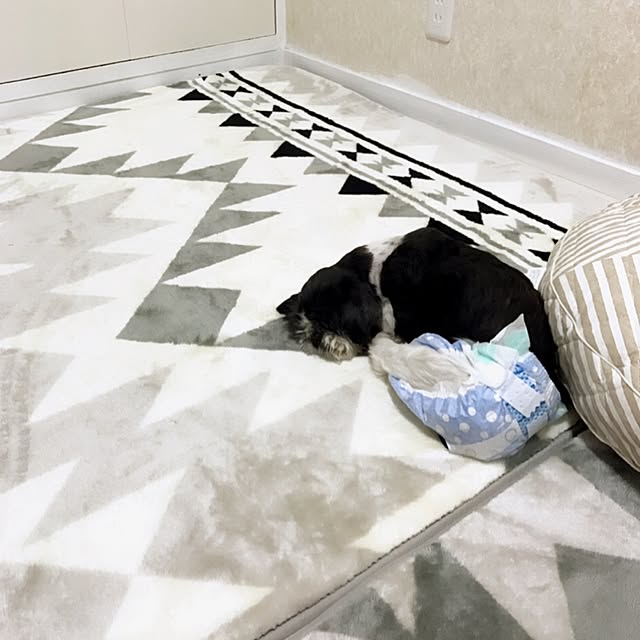AndyUndyさんの実例写真