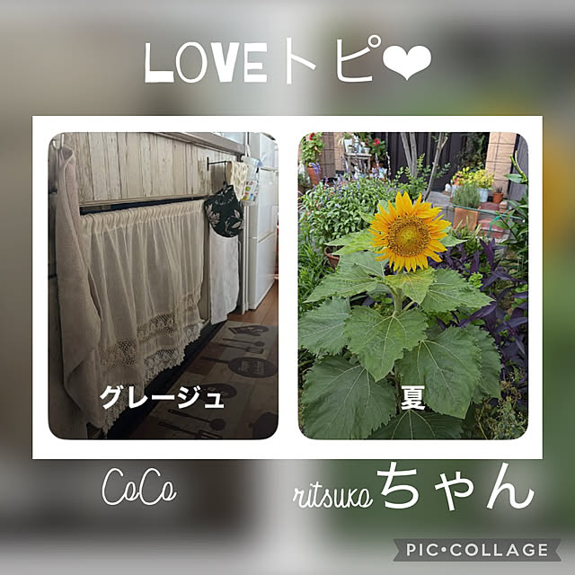 CoCo0617さんのお部屋の写真