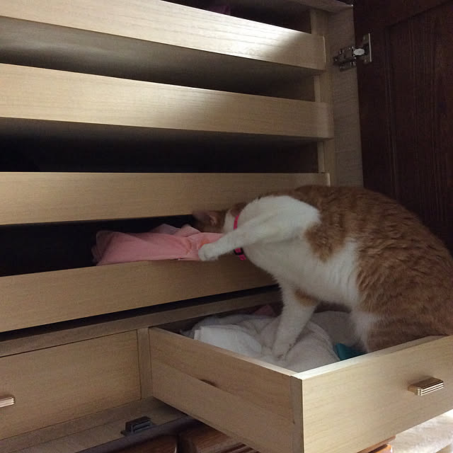 houenさんの実例写真