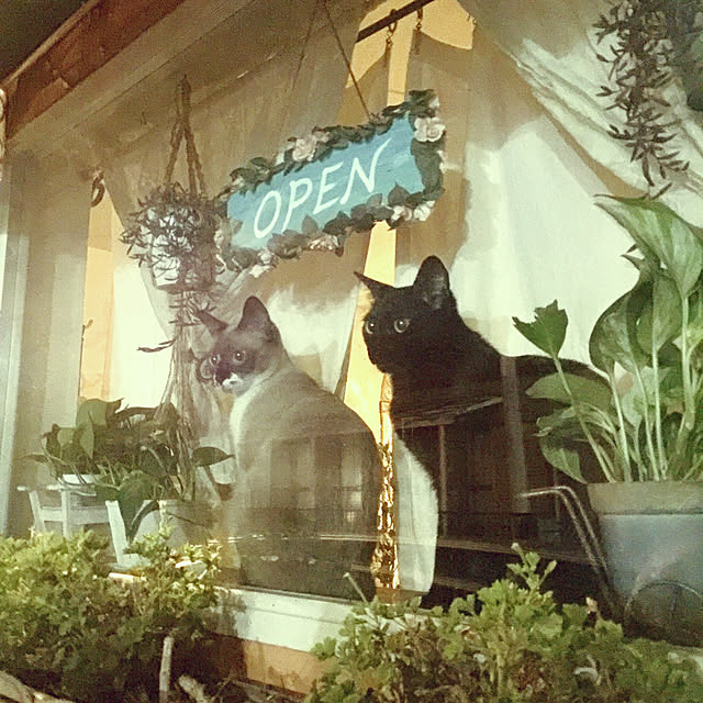 rosemaryさんの実例写真