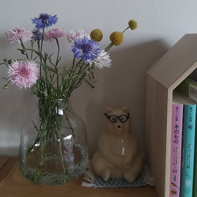 実例写真