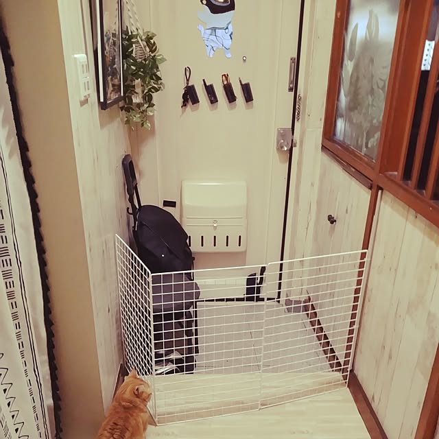 runaさんの部屋