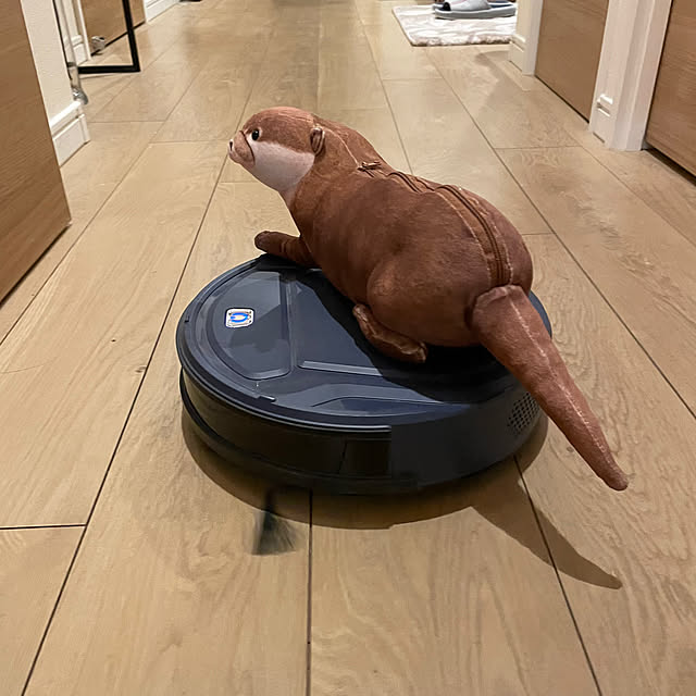 aureaさんの部屋
