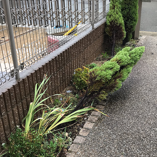 alchoさんの実例写真