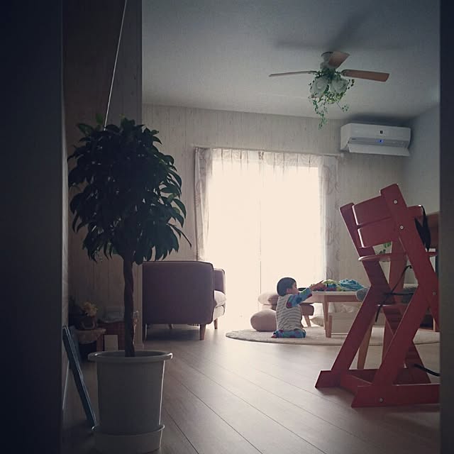 実例写真