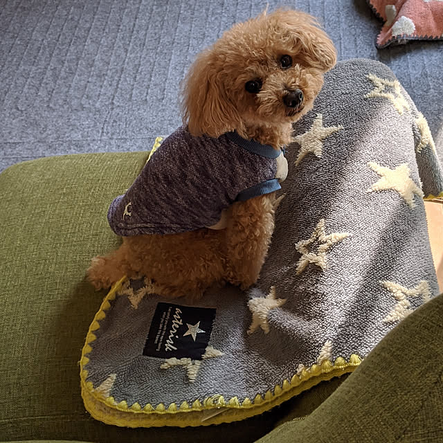 HIROMINさんの実例写真