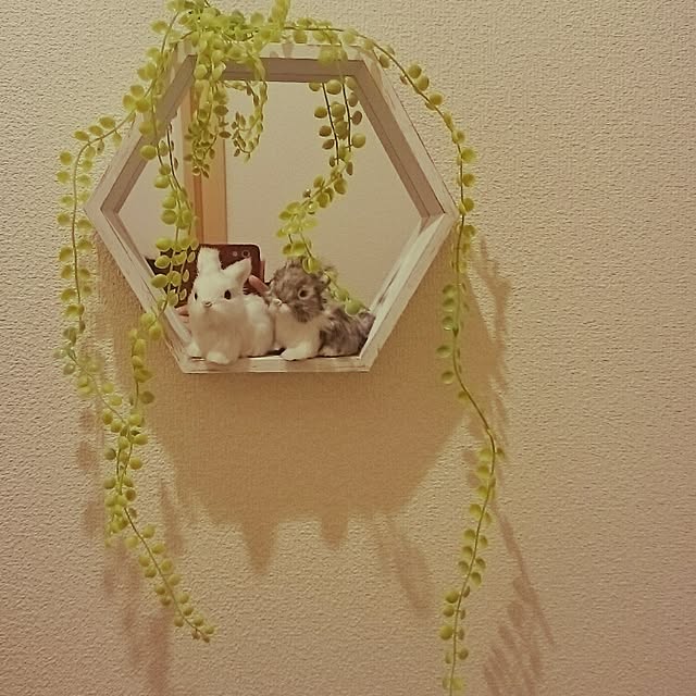 sakuraさんの実例写真