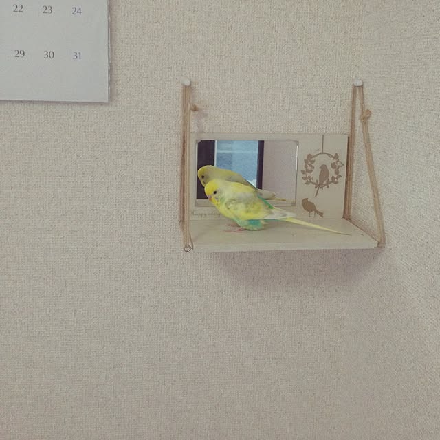hokkoさんの実例写真