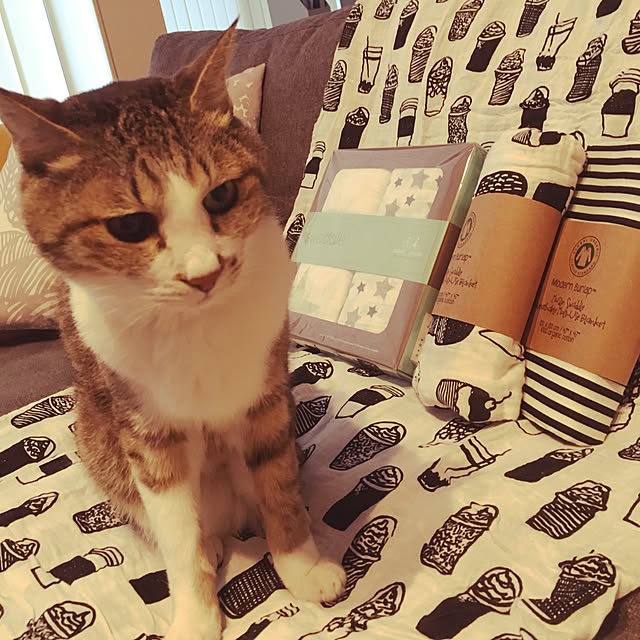 mimooさんの実例写真