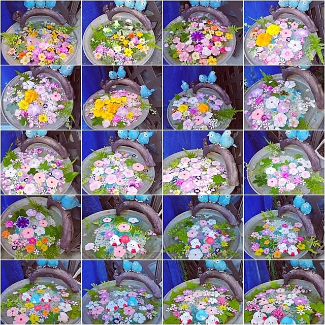 mocomocoさんの部屋