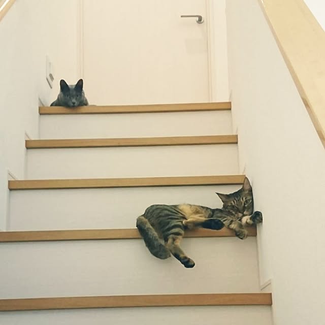 yumikanaさんの実例写真