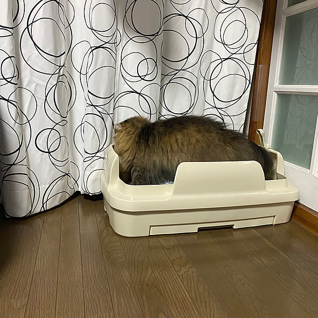xxyumexx.roomさんの実例写真