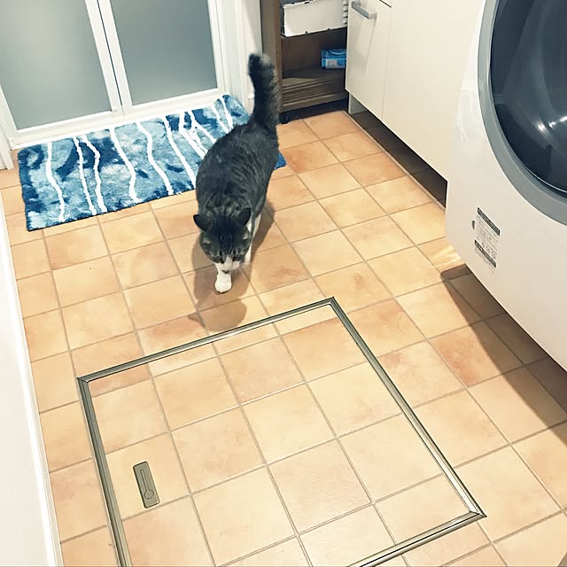 simamuuさんの実例写真