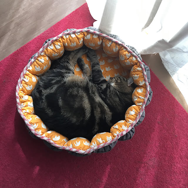 mikomaruさんの実例写真