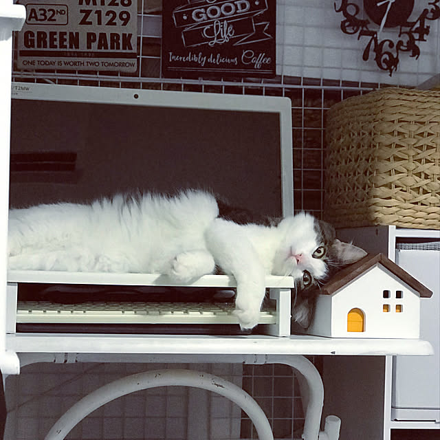 asuさんの実例写真
