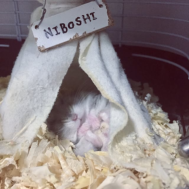 chiiiii0808さんの実例写真