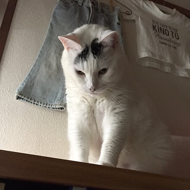 miさんの実例写真