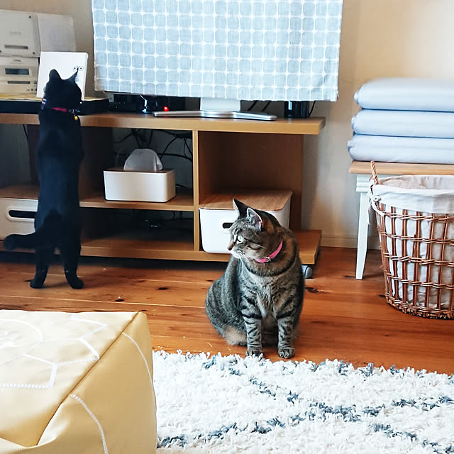 ruuさんの実例写真