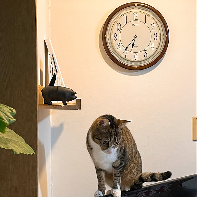 nobikoさんの実例写真