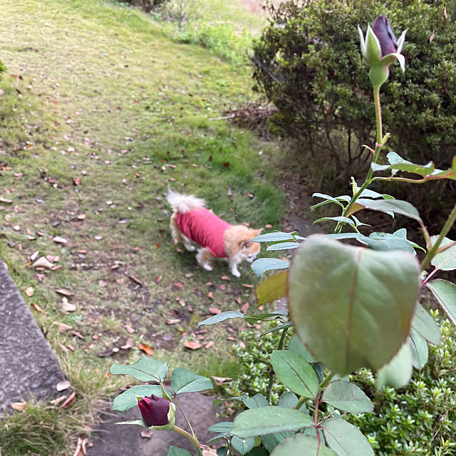 natsumiさんの部屋