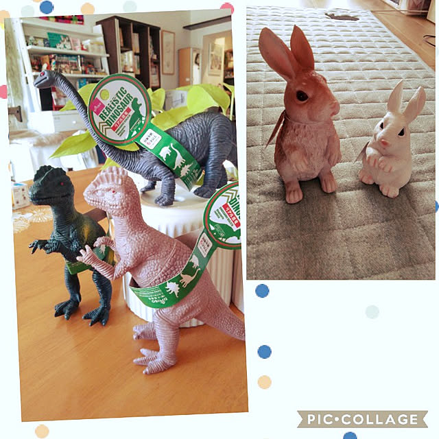 futukoさんの実例写真