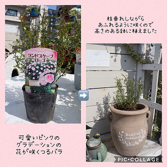r_6cafeさんの実例写真
