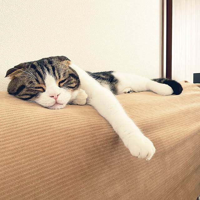 tansukeさんの部屋