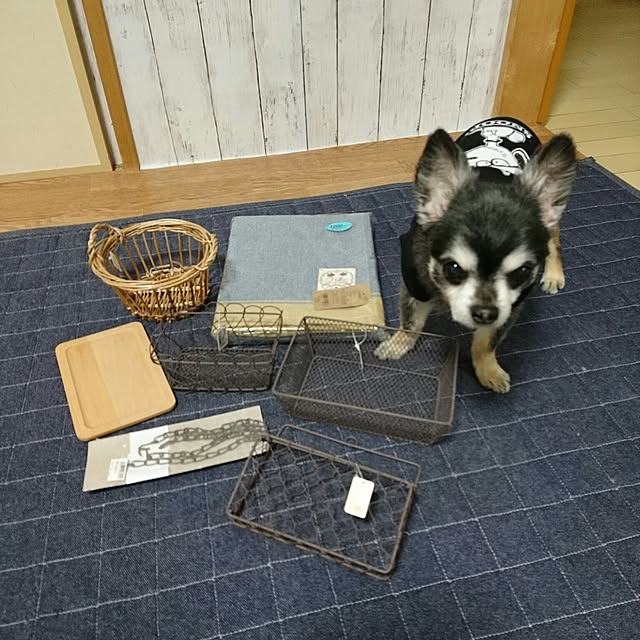 lovepeaceさんの実例写真