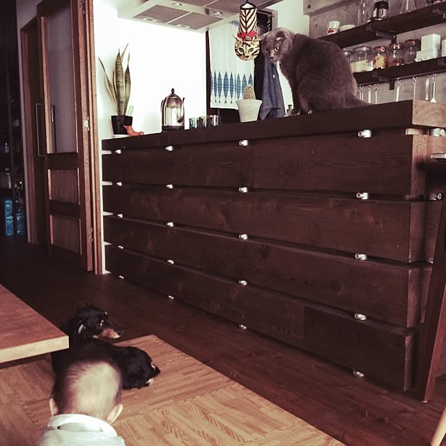 torinokoさんの実例写真