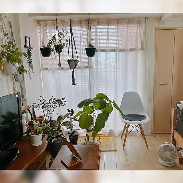 mikiteacupさんの部屋
