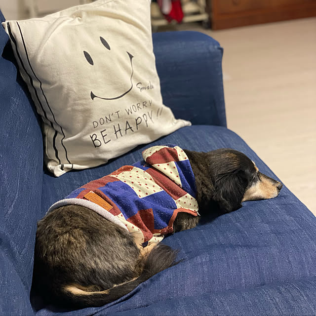 ohanaさんの実例写真
