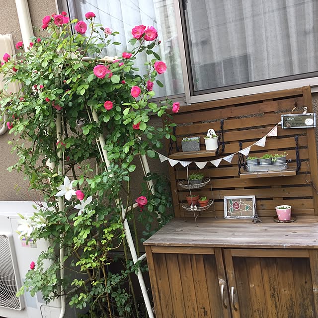 mippoko345さんの実例写真