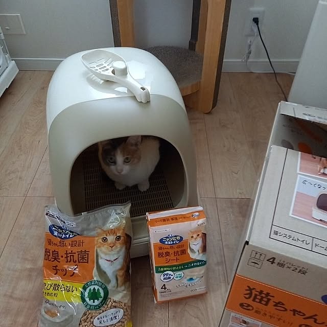 jai1102さんの実例写真