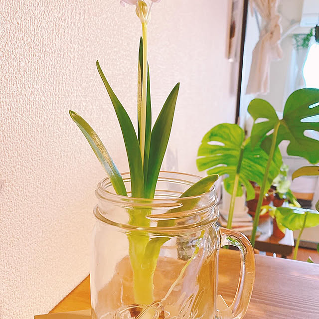 smallroomさんの部屋