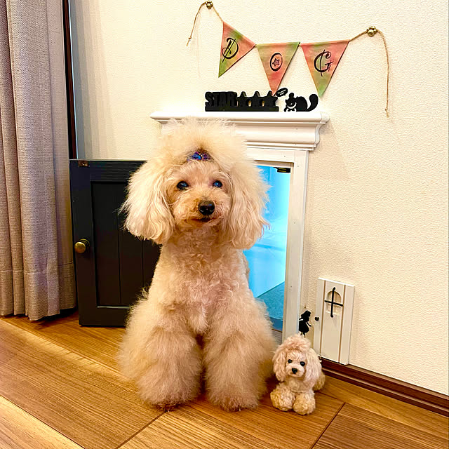 fuafuaさんの実例写真