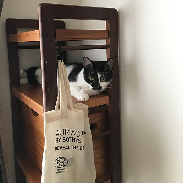 mikomaruさんの実例写真