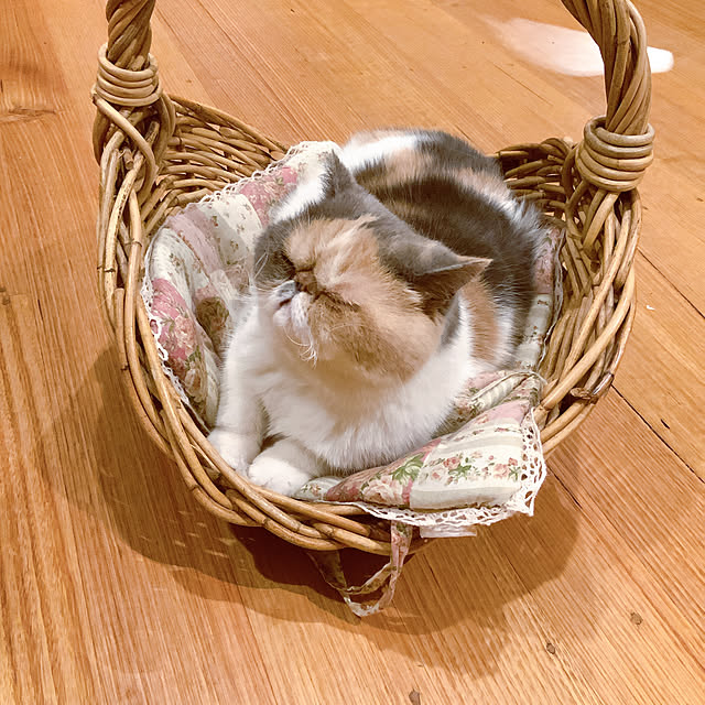 huayanyuさんの実例写真
