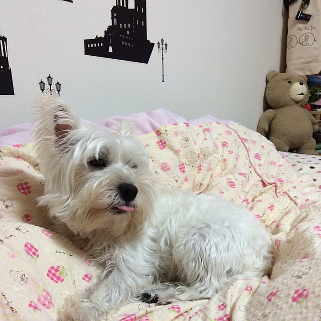実例写真