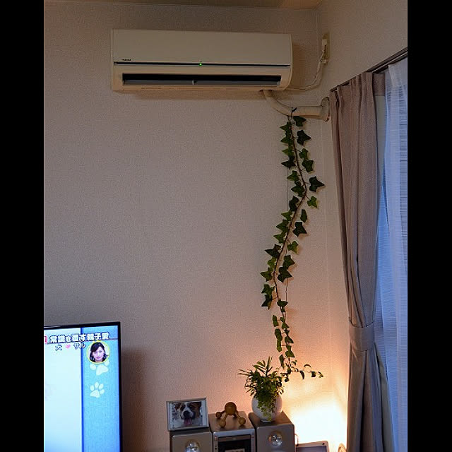yumetukihahaさんの実例写真
